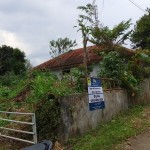 0e898953-e4f7-446f-a967-d43724c13f79