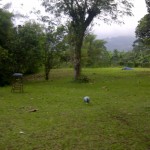 IMG-20200501-WA0006