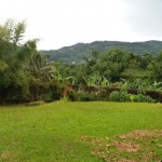 IMG-20200501-WA0009