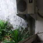 IMG_20230224_112643