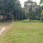 WhatsApp Image 2022-06-25 at 15.46.50 (3)