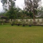 WhatsApp Image 2022-08-18 at 14.06.28