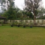 WhatsApp Image 2022-08-18 at 14.06.29