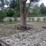 WhatsApp Image 2022-08-18 at 14.06.30