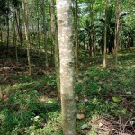 WhatsApp Image 2022-09-08 at 4.40.09 PM