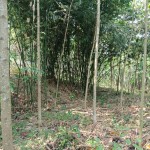 WhatsApp Image 2022-09-08 at 4.40.11 PM (1)