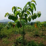 WhatsApp Image 2022-09-08 at 4.40.11 PM (2)