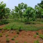 WhatsApp Image 2022-09-08 at 4.40.11 PM (3)