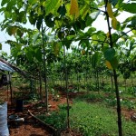 WhatsApp Image 2022-09-08 at 4.40.11 PM (4)