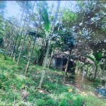 WhatsApp Image 2022-09-08 at 4.40.11 PM