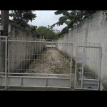 WhatsApp Image 2022-10-10 at 11.00.22 AM (2)