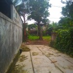 WhatsApp Image 2022-10-11 at 3.28.25 PM