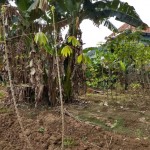 WhatsApp Image 2022-10-11 at 3.28.26 PM