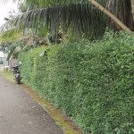 WhatsApp Image 2022-10-13 at 12.29.19 PM