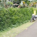 WhatsApp Image 2022-10-13 at 12.29.20 PM (1)