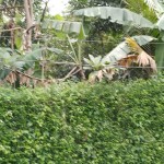 WhatsApp Image 2022-10-13 at 12.29.20 PM