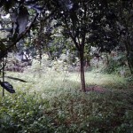 WhatsApp Image 2022-10-13 at 3.59.38 PM (2)