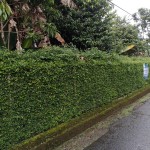 WhatsApp Image 2022-10-13 at 4.21.32 PM