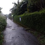 WhatsApp Image 2022-10-13 at 4.21.35 PM (1)