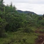 WhatsApp Image 2022-10-25 at 2.13.51 PM