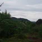 WhatsApp Image 2022-10-25 at 2.13.53 PM