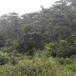 WhatsApp Image 2022-10-25 at 2.13.55 PM