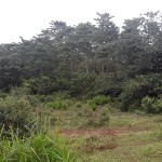 WhatsApp Image 2022-10-25 at 2.13.56 PM (1)