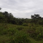 WhatsApp Image 2022-10-25 at 2.13.56 PM (2)