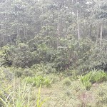 WhatsApp Image 2022-10-25 at 2.13.56 PM