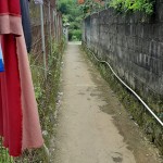 WhatsApp Image 2022-10-29 at 4.25.19 PM (1)