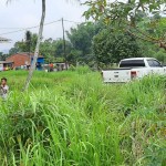 WhatsApp Image 2022-10-29 at 4.25.19 PM