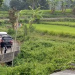 WhatsApp Image 2022-10-29 at 4.31.30 PM