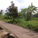 WhatsApp Image 2022-10-29 at 4.31.31 PM (1)