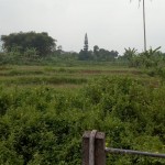 WhatsApp Image 2022-10-29 at 4.31.31 PM