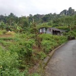 WhatsApp Image 2022-10-29 at 4.31.32 PM (1)