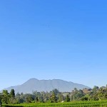 WhatsApp Image 2022-10-29 at 4.31.32 PM (2)