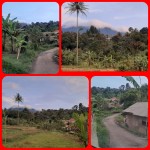 WhatsApp Image 2022-10-29 at 4.31.33 PM (1)