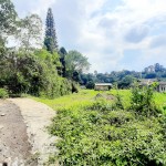 WhatsApp Image 2022-10-29 at 4.31.34 PM (1)