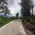 WhatsApp Image 2022-10-29 at 4.31.34 PM