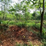 WhatsApp Image 2022-12-08 at 6.03.27 PM (1)