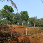 WhatsApp Image 2022-12-08 at 6.03.27 PM