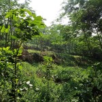 WhatsApp Image 2022-12-08 at 6.03.27 PM (2)