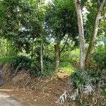 WhatsApp Image 2022-12-08 at 6.03.28 PM