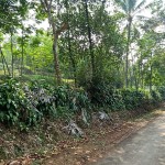 WhatsApp Image 2022-12-08 at 6.03.29 PM (1)