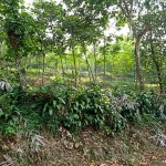 WhatsApp Image 2022-12-08 at 6.03.29 PM (2)