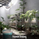 WhatsApp Image 2022-12-16 at 9.48.07 AM (2)