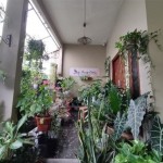 WhatsApp Image 2022-12-26 at 1.11.01 PM (2)