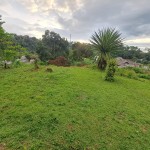 WhatsApp Image 2023-01-09 at 10.26.22 AM