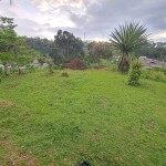 WhatsApp Image 2023-01-09 at 10.26.23 AM