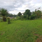 WhatsApp Image 2023-01-09 at 10.26.24 AM (1)